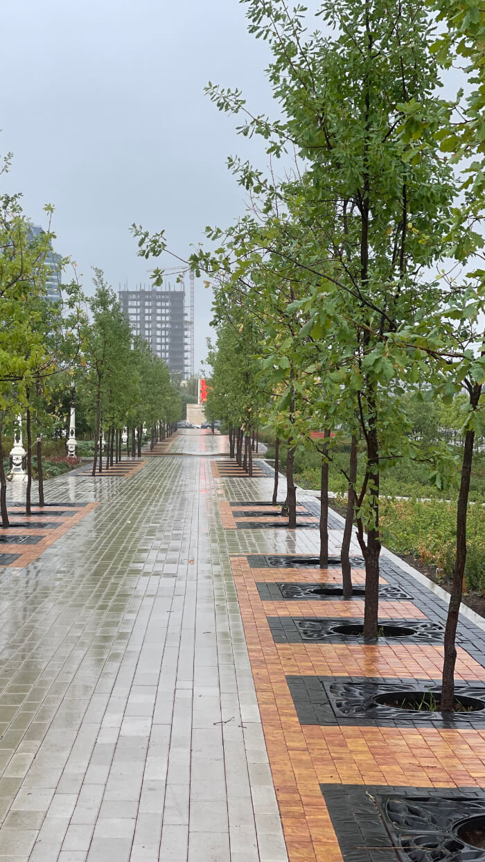 Приствольная решетка для дерева ZKING CRUST 1.2х1.2м Черная в Владимире фото